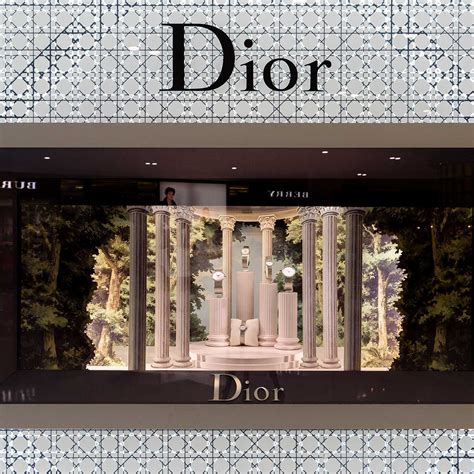 dior online store us|dior japan online.